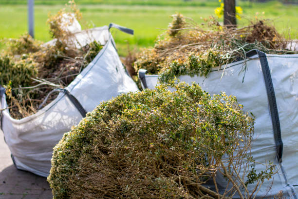 Best Appliance Removal  in Spring Creek, NV